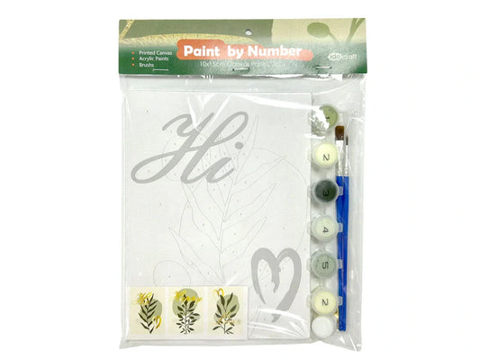 Paint by Numbers Stretched Canvas Sets