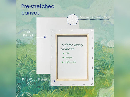 conomical Stretched Canvas for Primary Students Painting and Beginners