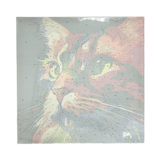 Paint By Number Stretched Canvas 40*40 cm