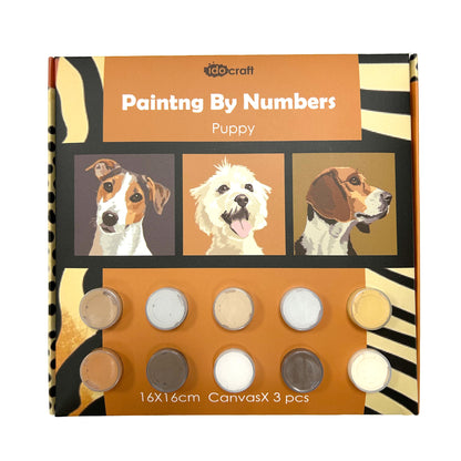 Paint By Number Stretched Canvas 16*16 cm 3PCS/set