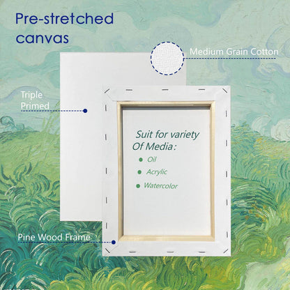 Economical Stretched Canvas for Primary Students Painting and Beginners