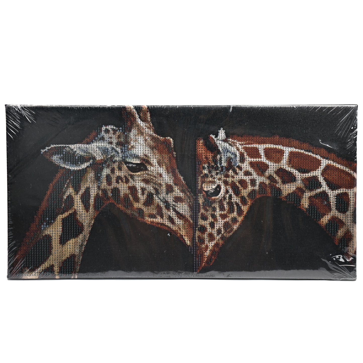 Diamond Painting 40*20 cm Craft by Numbers Stretched Canvas