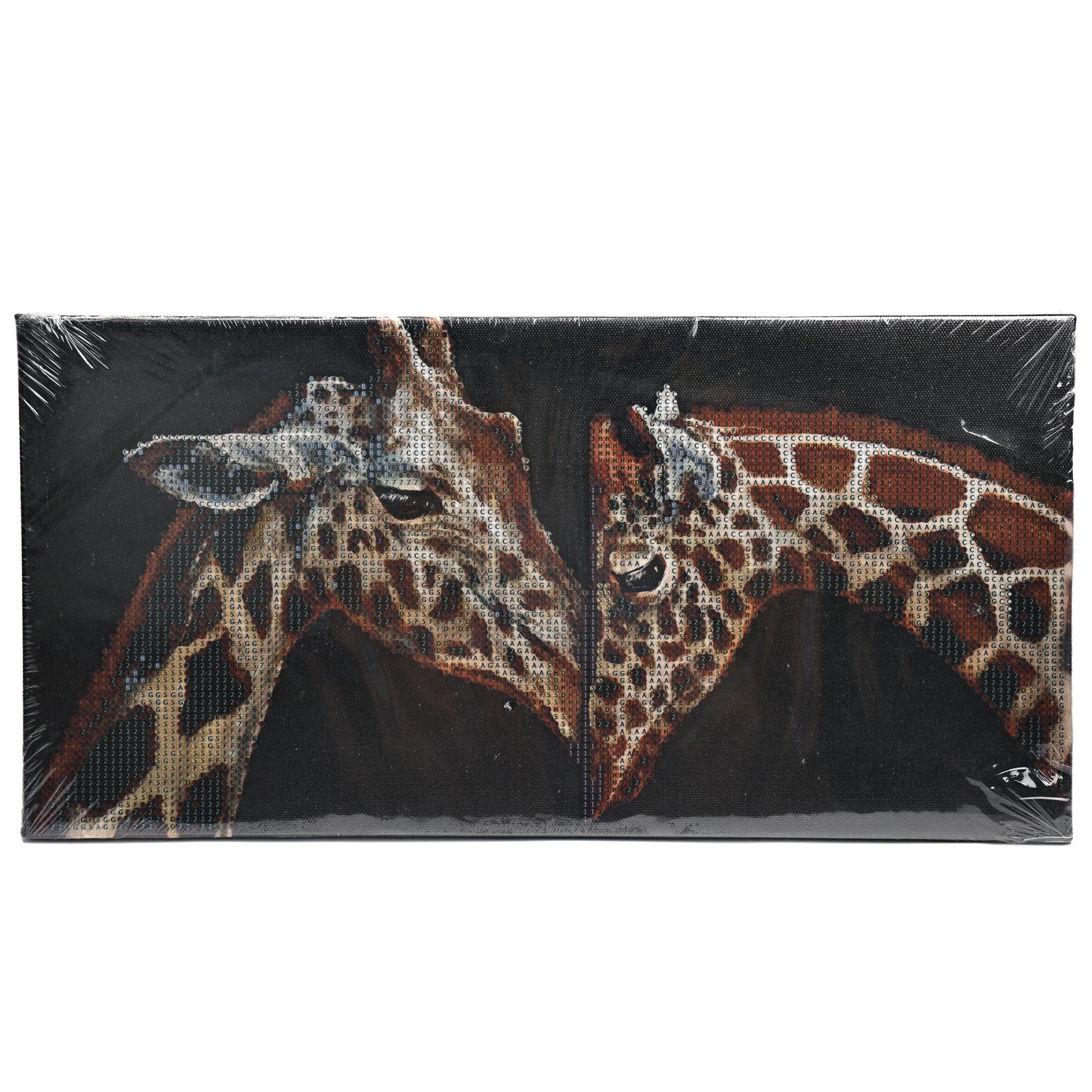 Diamond Painting 40*20 cm Craft by Numbers Stretched Canvas