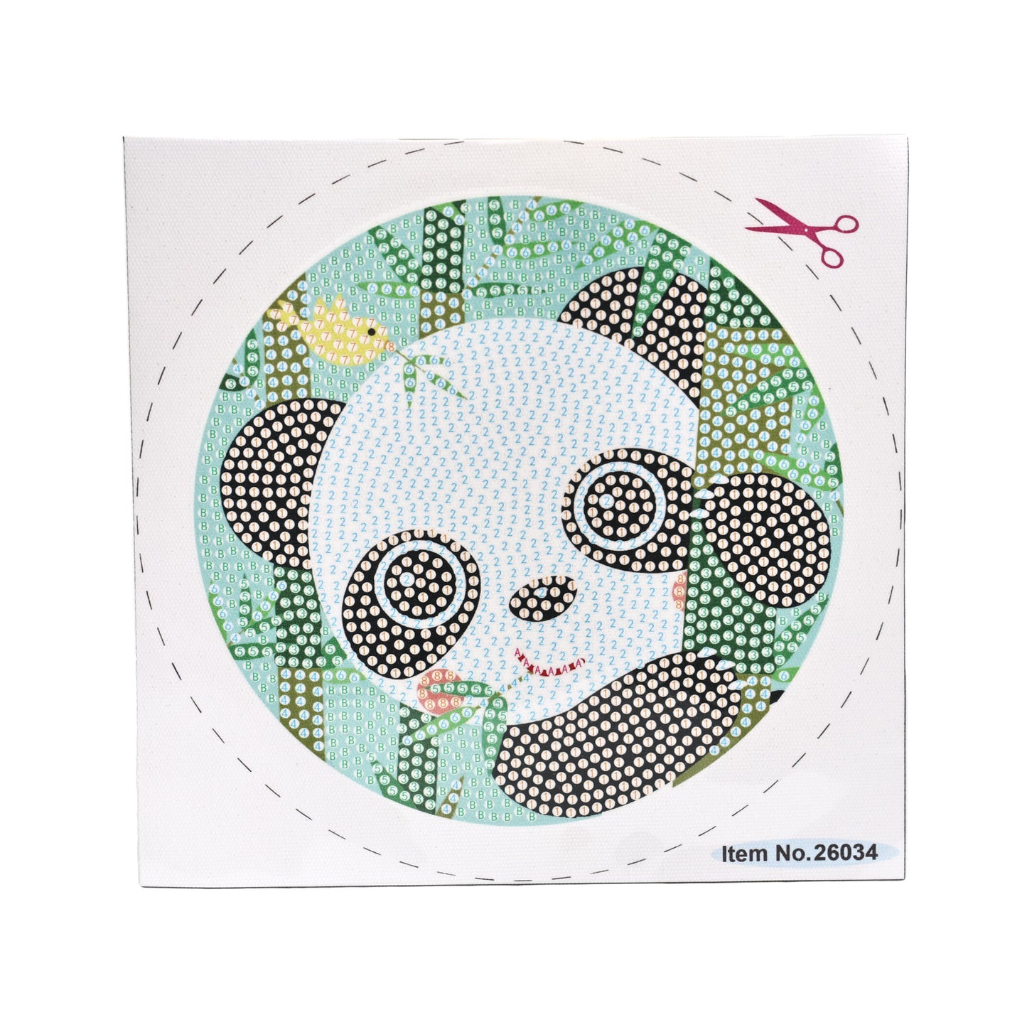 Diamond Painting Craft by Numbers for Kids or Students