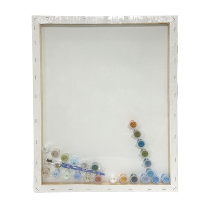 Paint By Number Stretched Canvas 40*50 cm