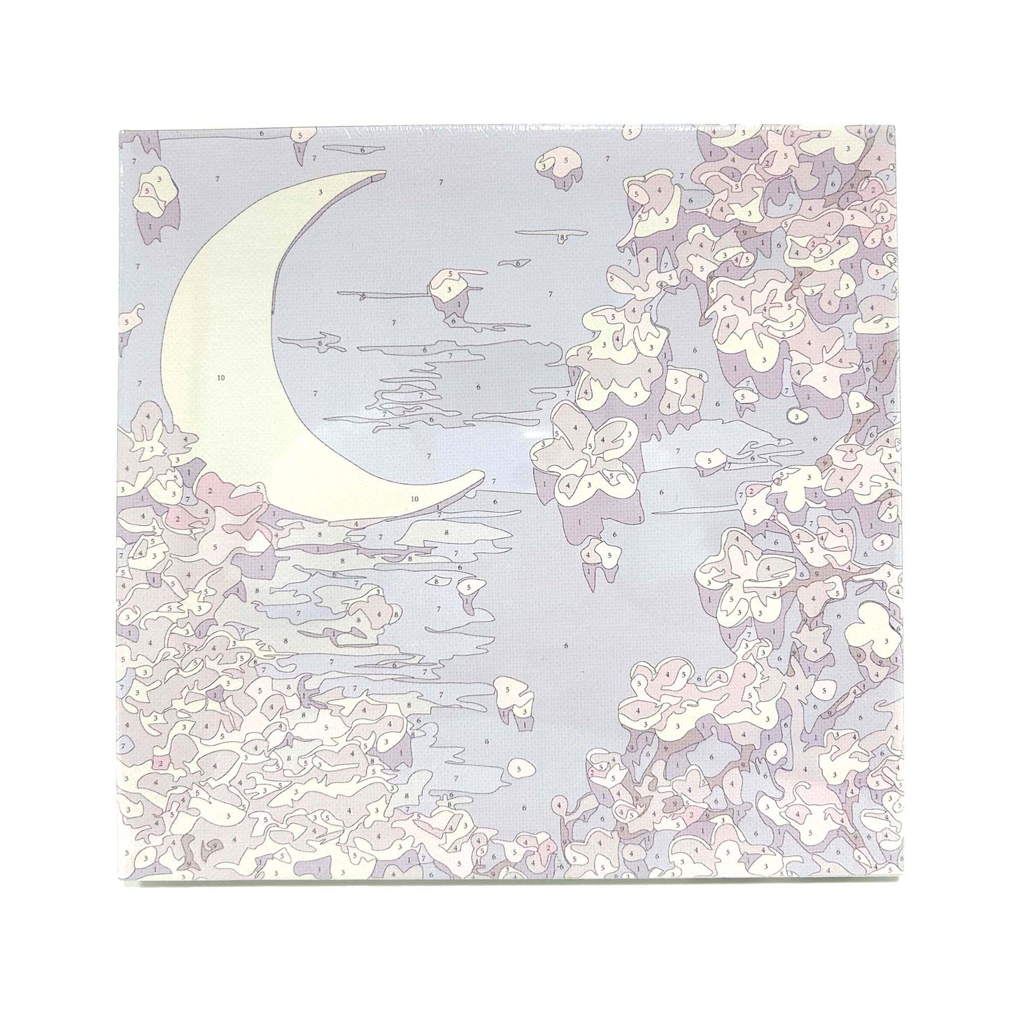 Paint By Number Stretched Canvas 20*20 cm with Plaster Models