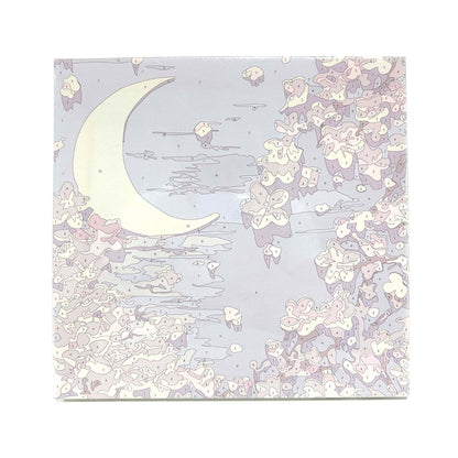 Paint By Number Stretched Canvas 20*20 cm with Plaster Models