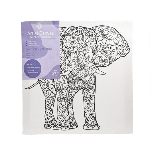Coloring Painting 30*30 cm Stretched Canvas for Adults