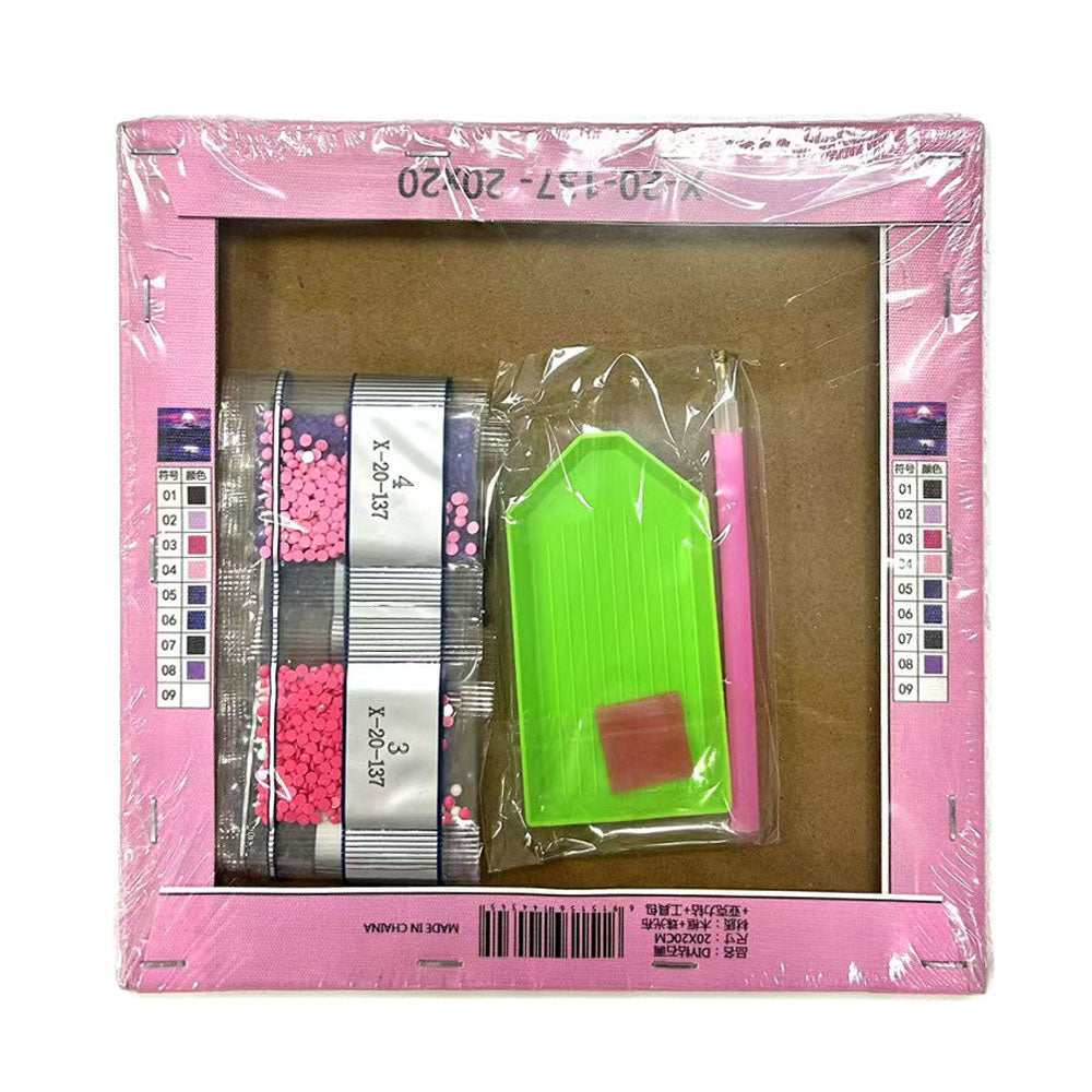 Diamond Painting 20*20 cm Craft by Numbers Stretched Canvas