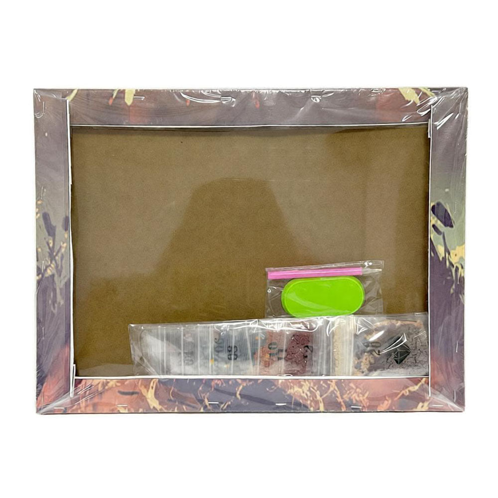 Diamond Painting 30*40 cm Craft by Numbers Stretched Canvas