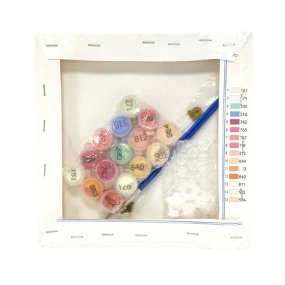 Paint By Number Stretched Canvas 20*20 cm with Plaster Models