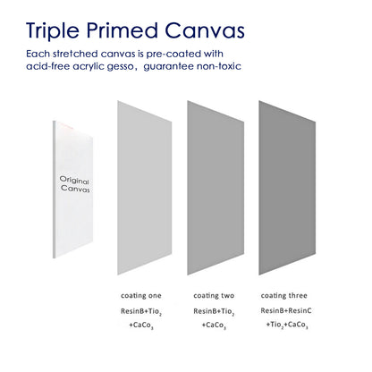 Economical Stretched Canvas for Primary Students Painting and Beginners