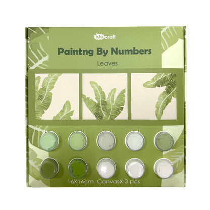 Paint By Number Stretched Canvas 16*16 cm 3PCS/set