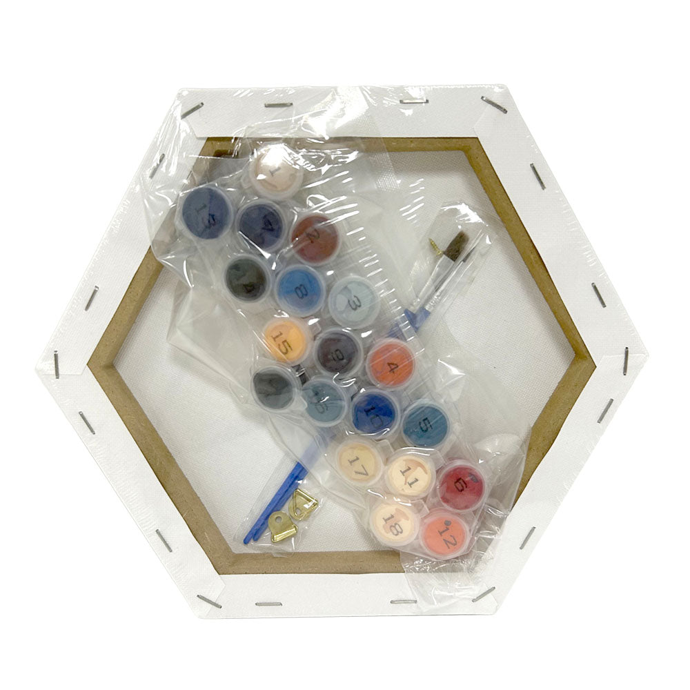 Paint By Number Stretched Canvas 25*25 cm 3 PCS/SET