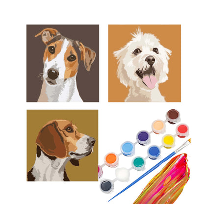 Paint By Number Stretched Canvas 16*16 cm 3PCS/set