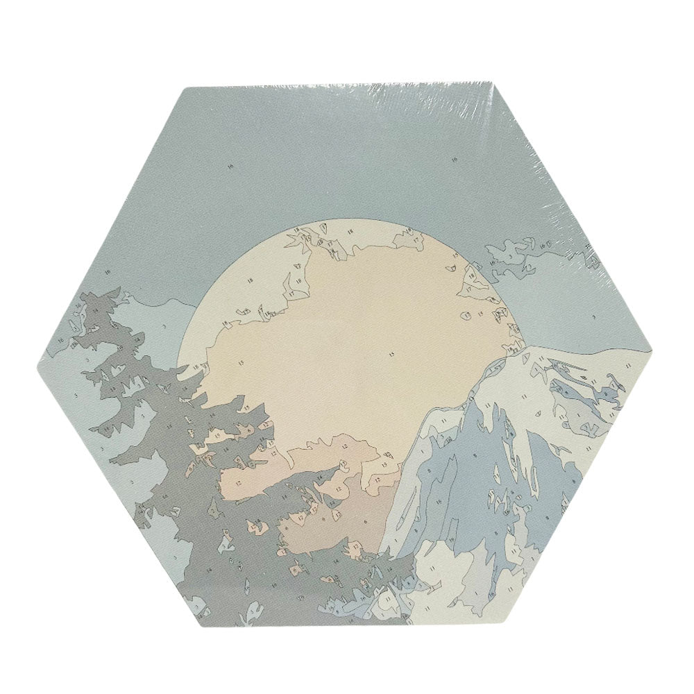 Paint By Number Stretched Canvas 25*25 cm 3 PCS/SET