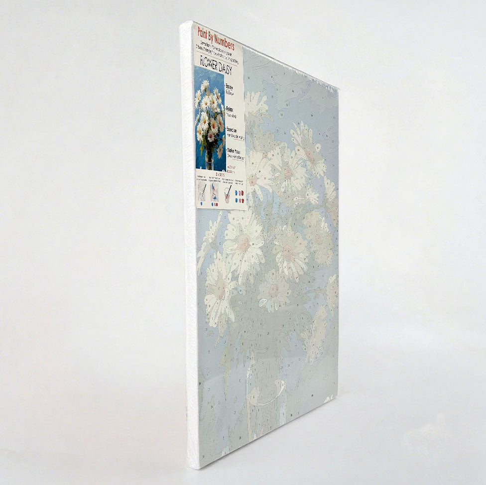 Paint By Number Stretched Canvas 40*50 cm